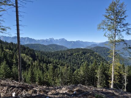 Fotografija s spletne strani ALOHO na poti