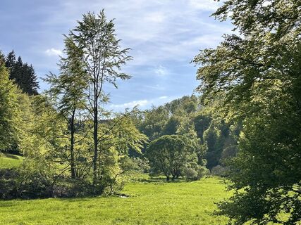 Fotografia z Norbert Herbig na trase