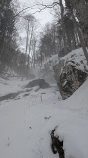 Photo de Stubi le long du parcours