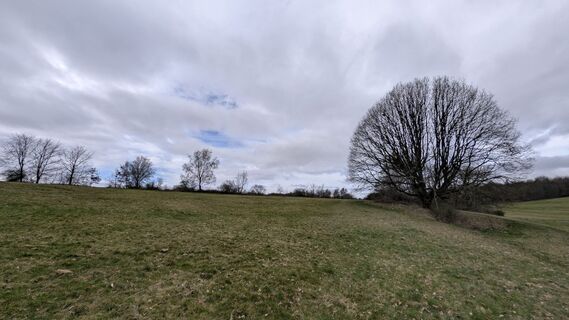 Fotografia z Peter Kreutzer na trase