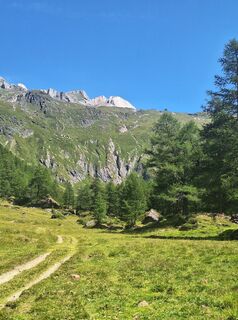 Photo de Irmi♧ le long du parcours