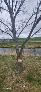 Foto von Sulima entlang der Tour