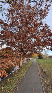 Foto från Richard Vlcek under resans gång