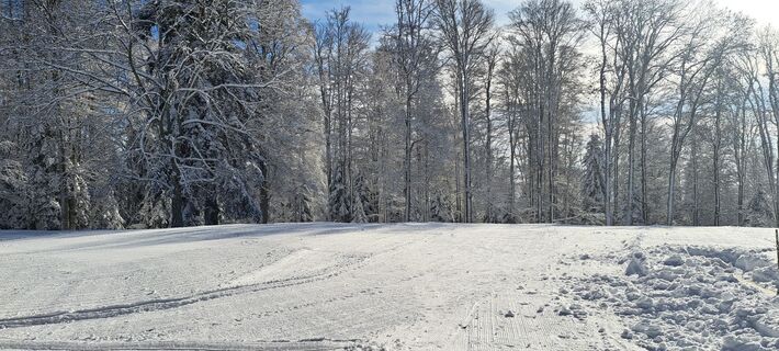 Foto de Dusko Cakara a lo largo del recorrido