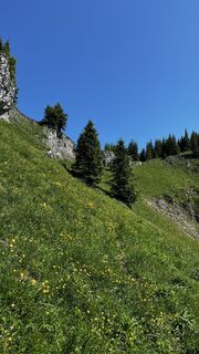 Foto von Erwin01 entlang der Tour