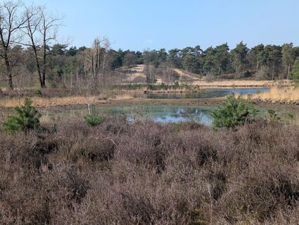 Photo de Matje Derks le long du parcours
