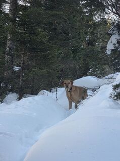 Photo de Carlo Ospelt (Wuffenstein) le long du parcours
