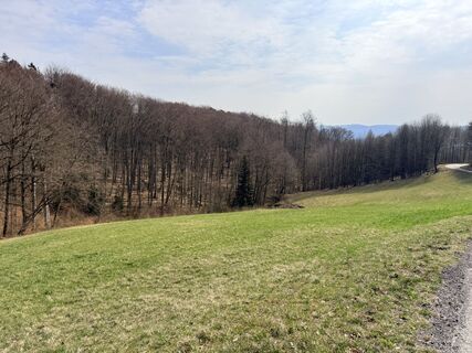Fotografia z ROSARIO FERRAZ na trase