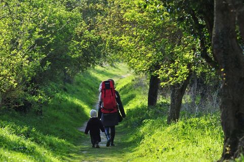 coulee verte_bacouel sur selle_somme_picardie