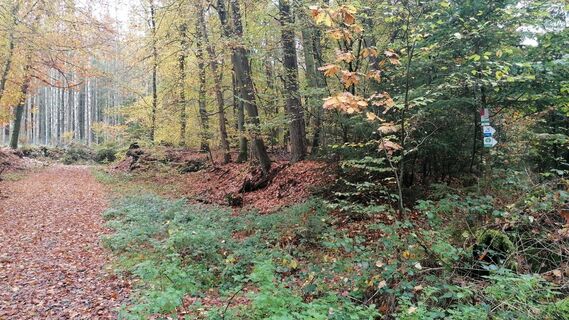Oberhalb des Lambsbachs auf dem felsigen Weg unterwegs