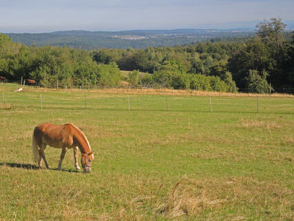Aussicht von Mittelberg
