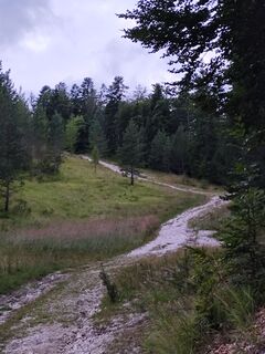 Fotografija s spletne strani Tim Wissen na poti