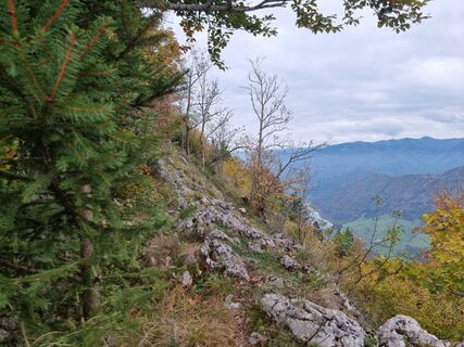 Zdjęcie z Felix wzdłuż trasy