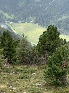 Foto van Koen De Wit langs de tour