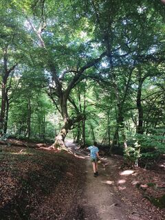 Foto fra Wierd Hagg undervejs på turen