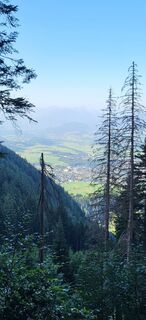 Foto från Ute Junker under resans gång