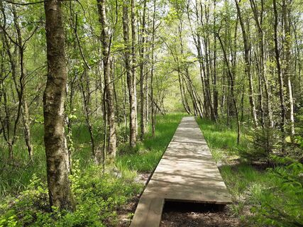 Foto de nordbergschnecke a lo largo del recorrido