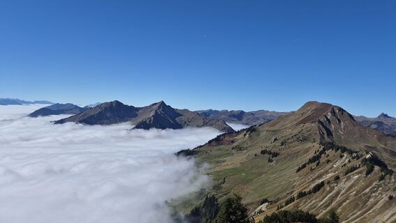 Photo de Nicole Hesse le long du parcours
