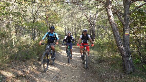 Auf der Strecke