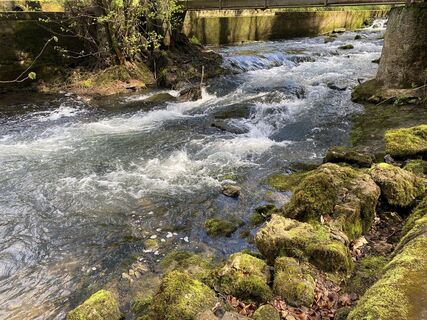 Foto da Mariano Sanz Luffroy lungo il tour