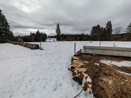 Fotografija s spletne strani Nicolas QUERO RIO na poti