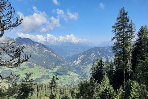 Aussicht bei der Auffahrt