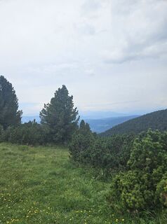 Photo de Michael Weiss2 le long du parcours
