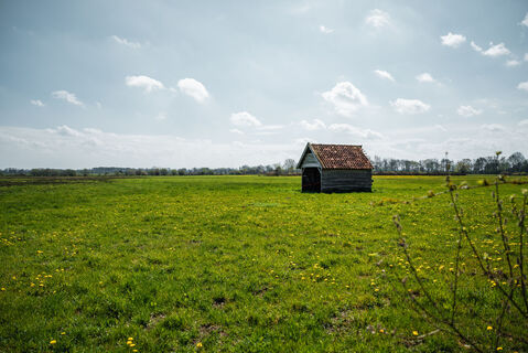 Oppenweher Moor 