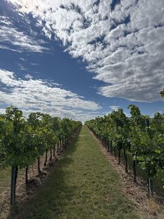 Foto de Andreas Haderer a lo largo del recorrido
