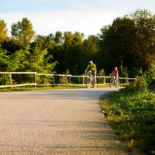 Du findest verkehrsarme Routen rund um Žalec