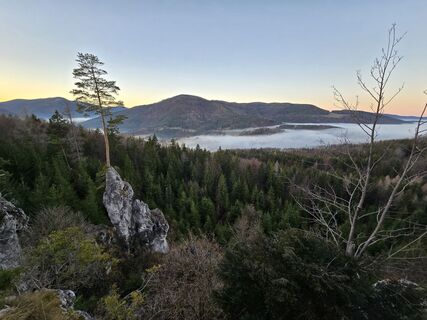 Fotografia z TwilightTea na trase