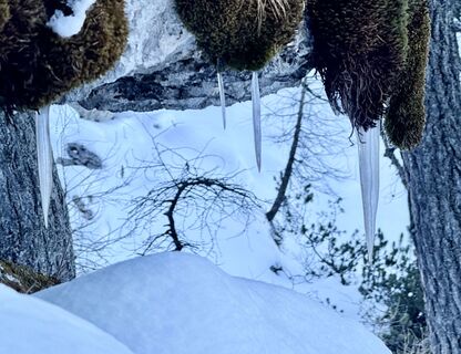 Foto von Natur_erleben_dg entlang der Tour