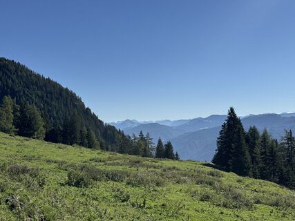 Photo de Matthias Opbacher le long du parcours