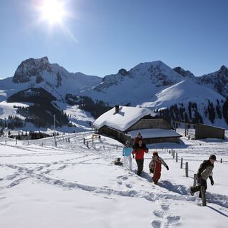 Selibühl Hütte - Winterwanderung Selibüel