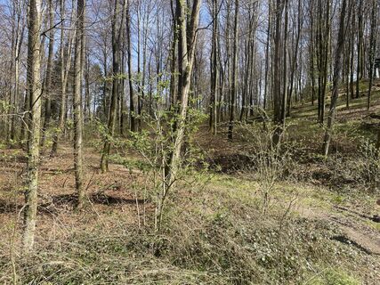 Foto fra Gerhard Jax underveis på turen