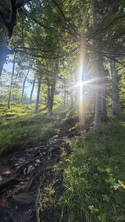 Foto von Christian Bozsoki entlang der Tour