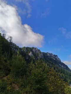 Photo de sntyy le long du parcours