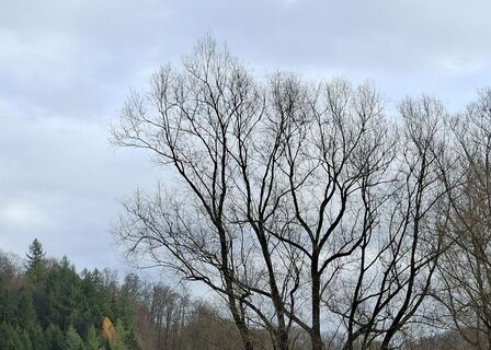Photo de Bob Moh le long du parcours