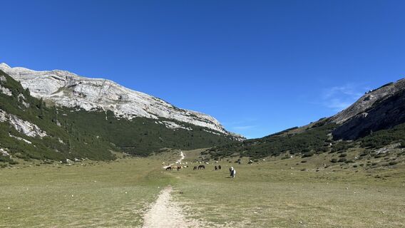 Foto von Irene Duitshof entlang der Tour