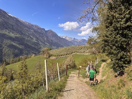 Photo de Martina Santin le long du parcours