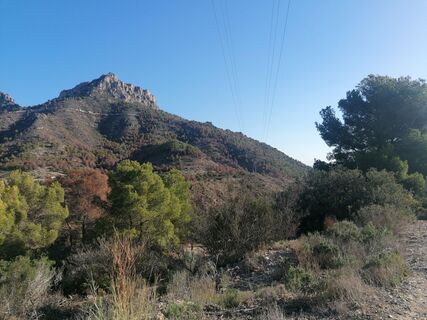 Photo de luyyy le long du parcours