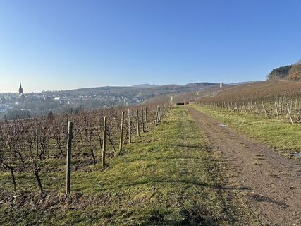 Fotografia z Andreas Mader na trase