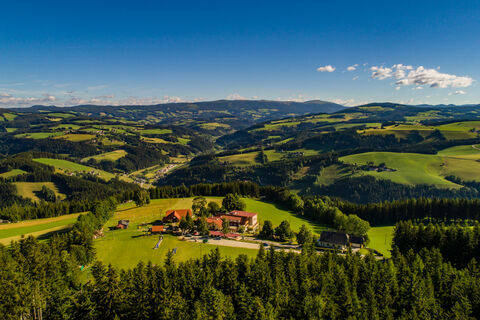 Der Almblick