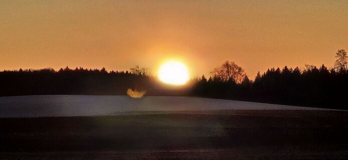 Fotografia z garrincha na trase