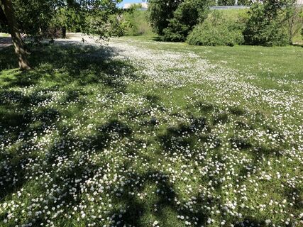 Fotografija s spletne strani “Jerry” Brunetti na poti