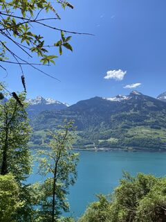 Fotografija s spletne strani Mimikeller15 na poti
