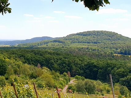 Weitblick