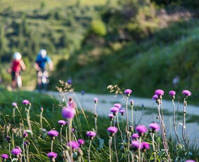 MTB im Lavanttal/Saualpe