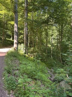 Foto von Stefan Aust entlang der Tour