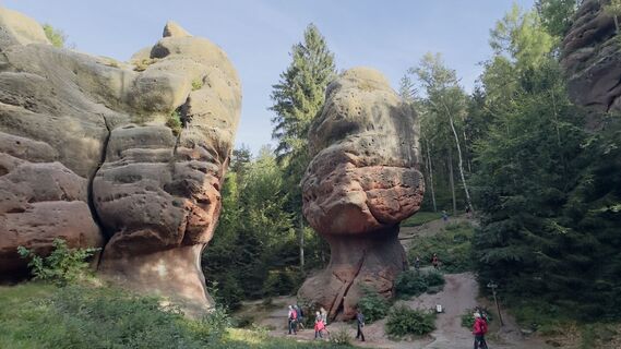 Photo de Piotr Wrzesinski le long du parcours
